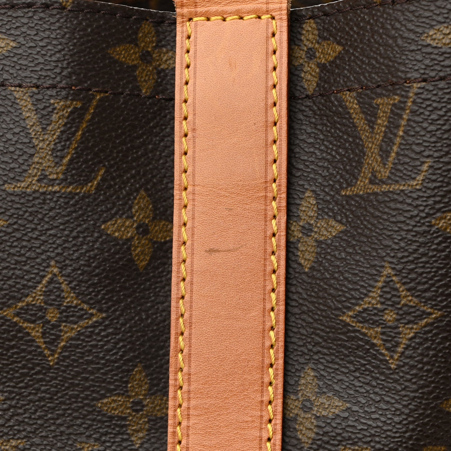 Monogram Randonnee GM Backpack