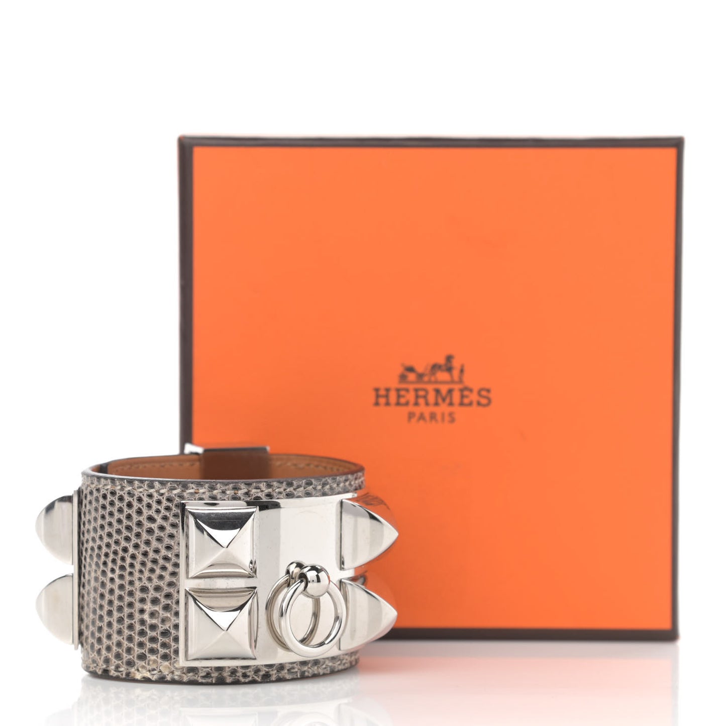 Lizard Collier De Chien CDC Bracelet T1 Ombre