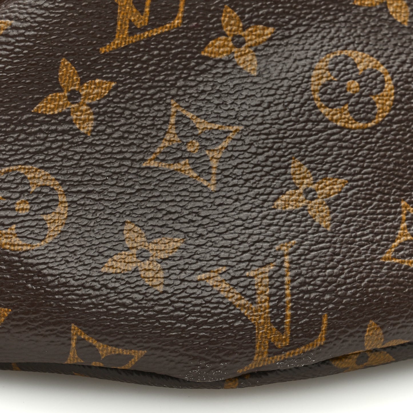 LOUIS VUITTON Monogram Bumbag