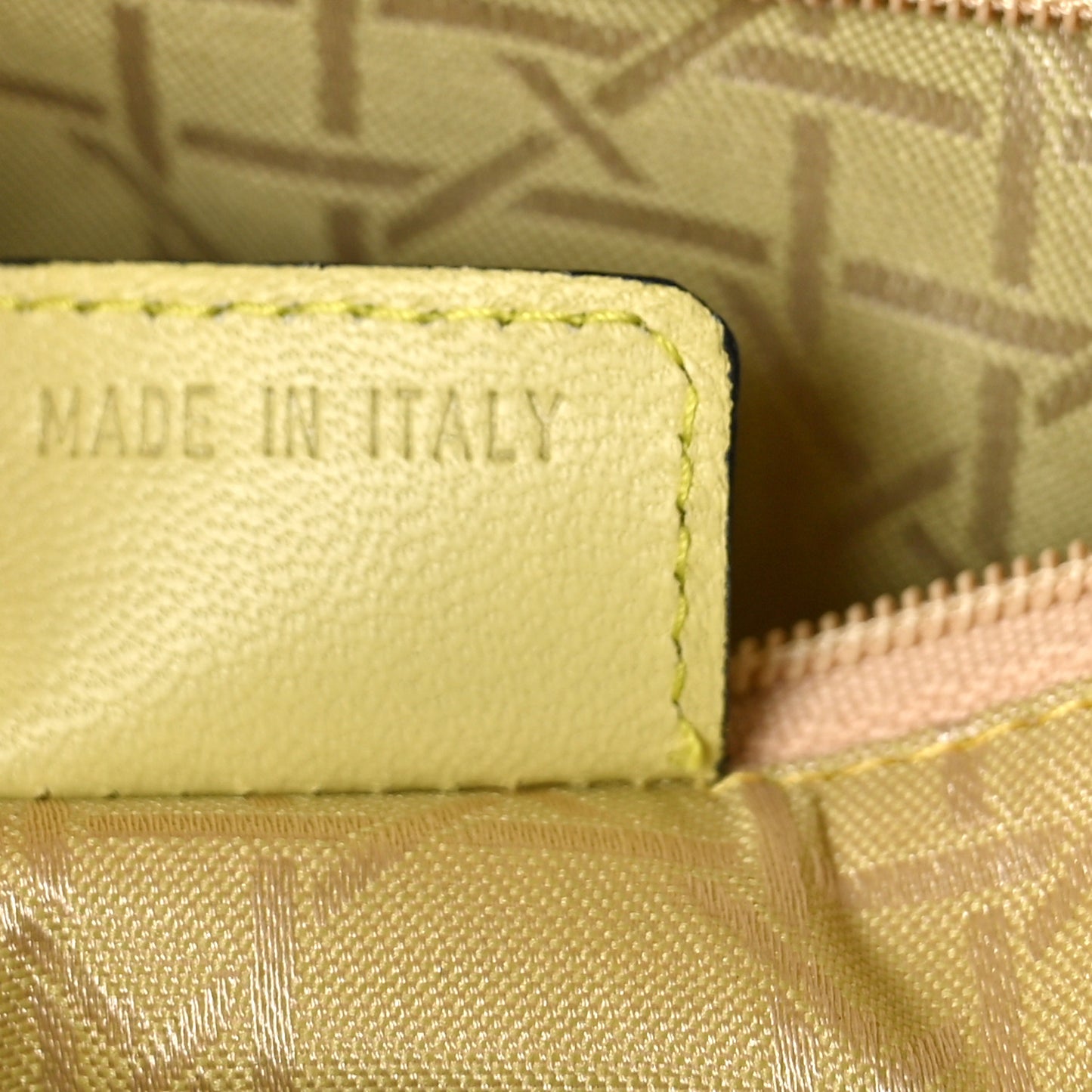 Lambskin Cannage Large Lady Dior Light Green
