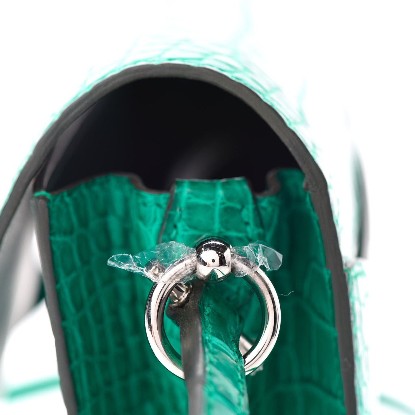 Matte Alligator Mini Sac Roulis Malachite