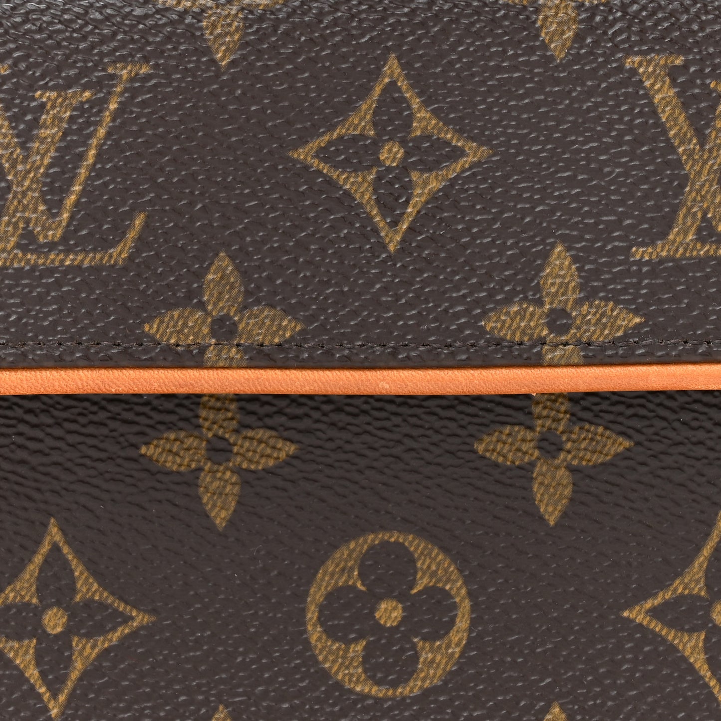 Monogram Pochette Florentine XS