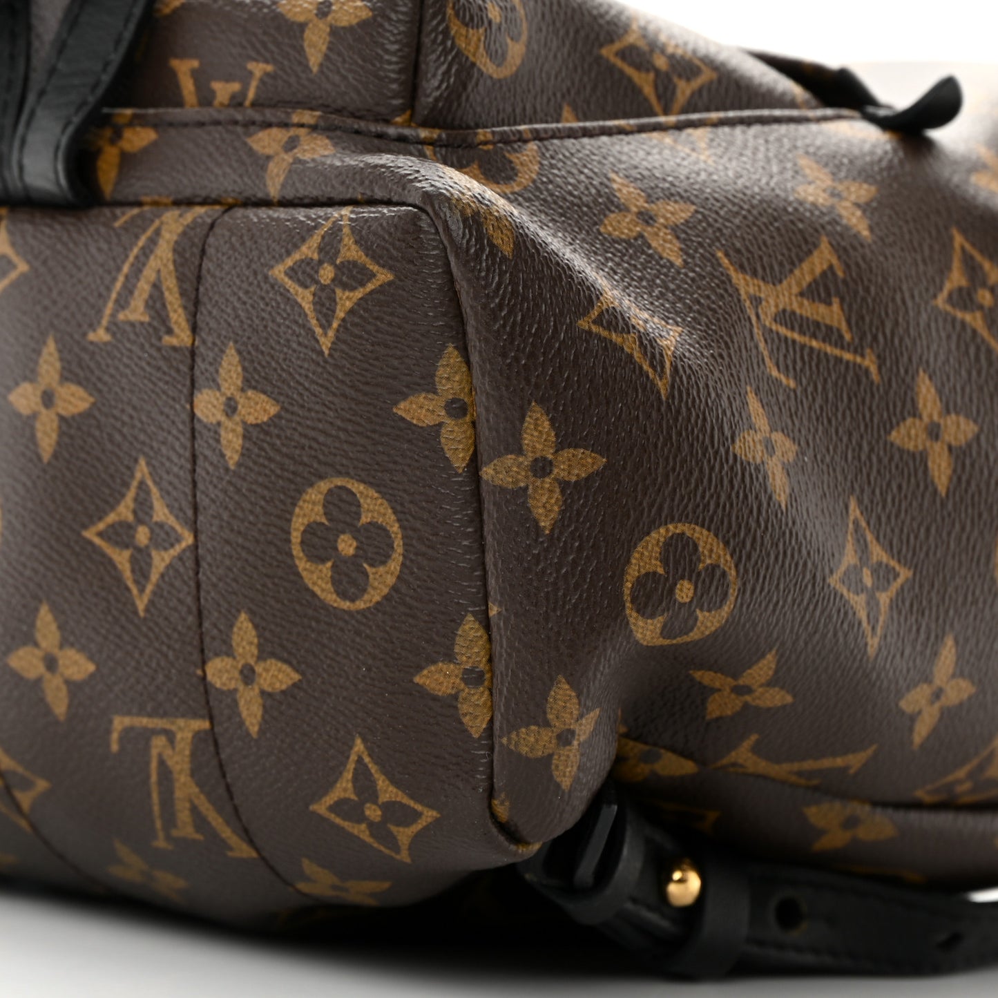 Monogram Palm Springs Backpack PM