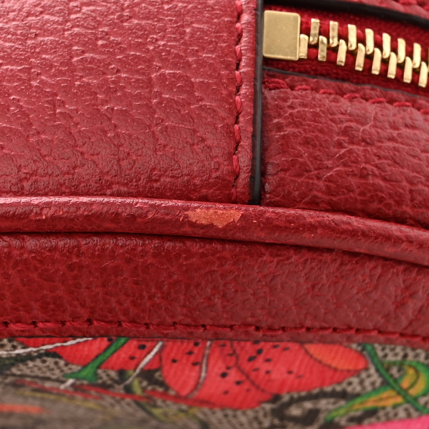 GG Supreme Monogram Web Flora Mini Ophidia Round Backpack Red