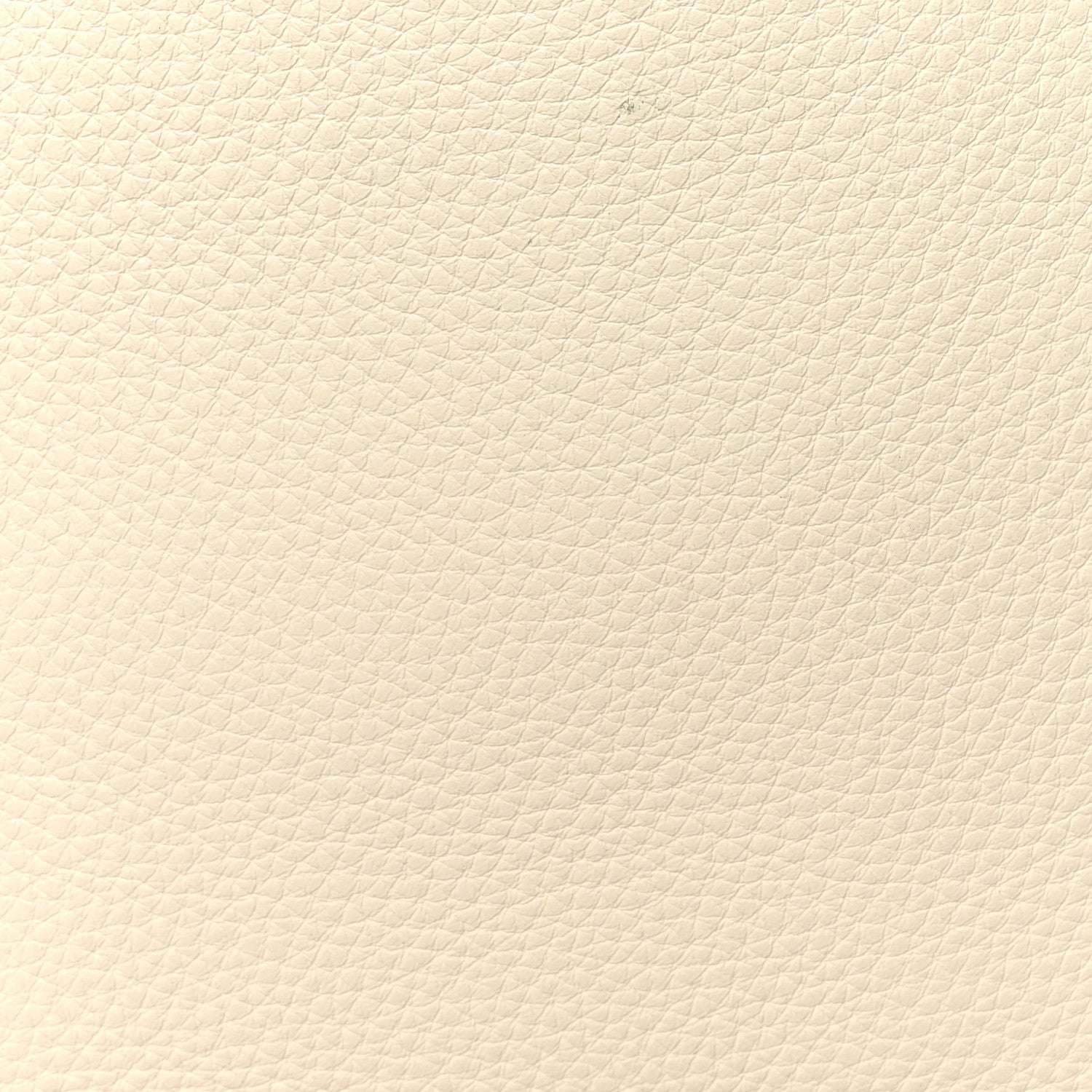 The Row Grained Calfskin Large N/S Park Tote Ivory 12 of 12