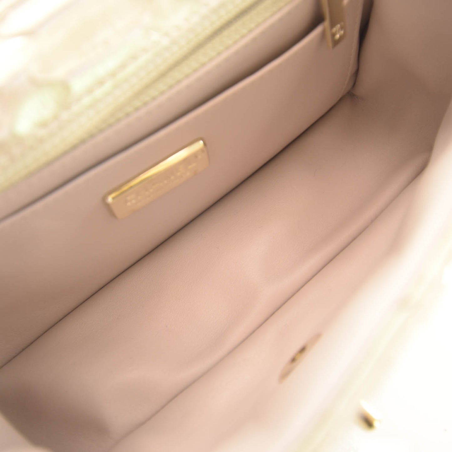Iridescent Python Mini Flap