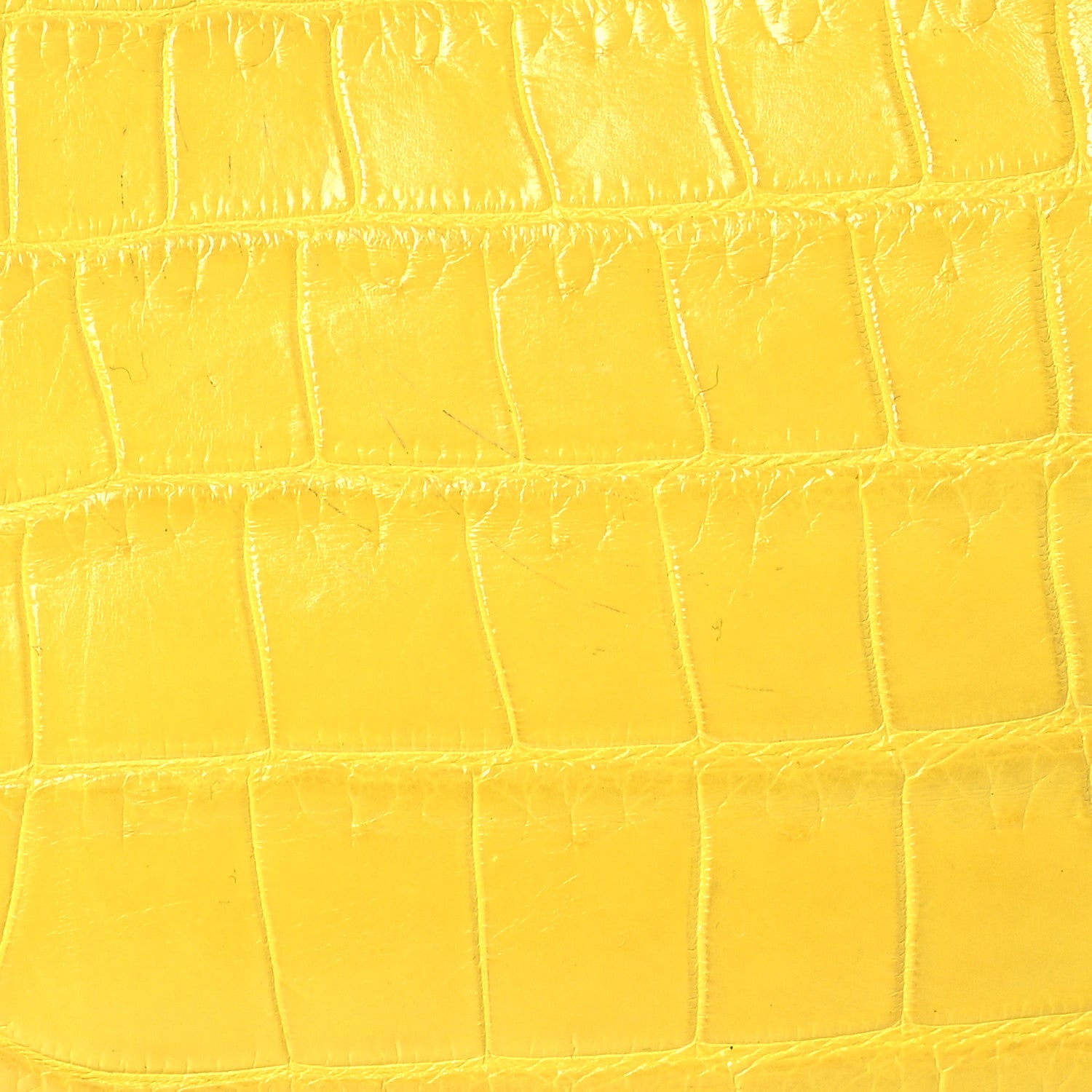 Christian Dior Crocodile Large Diorissimo Yellow 14 of 19