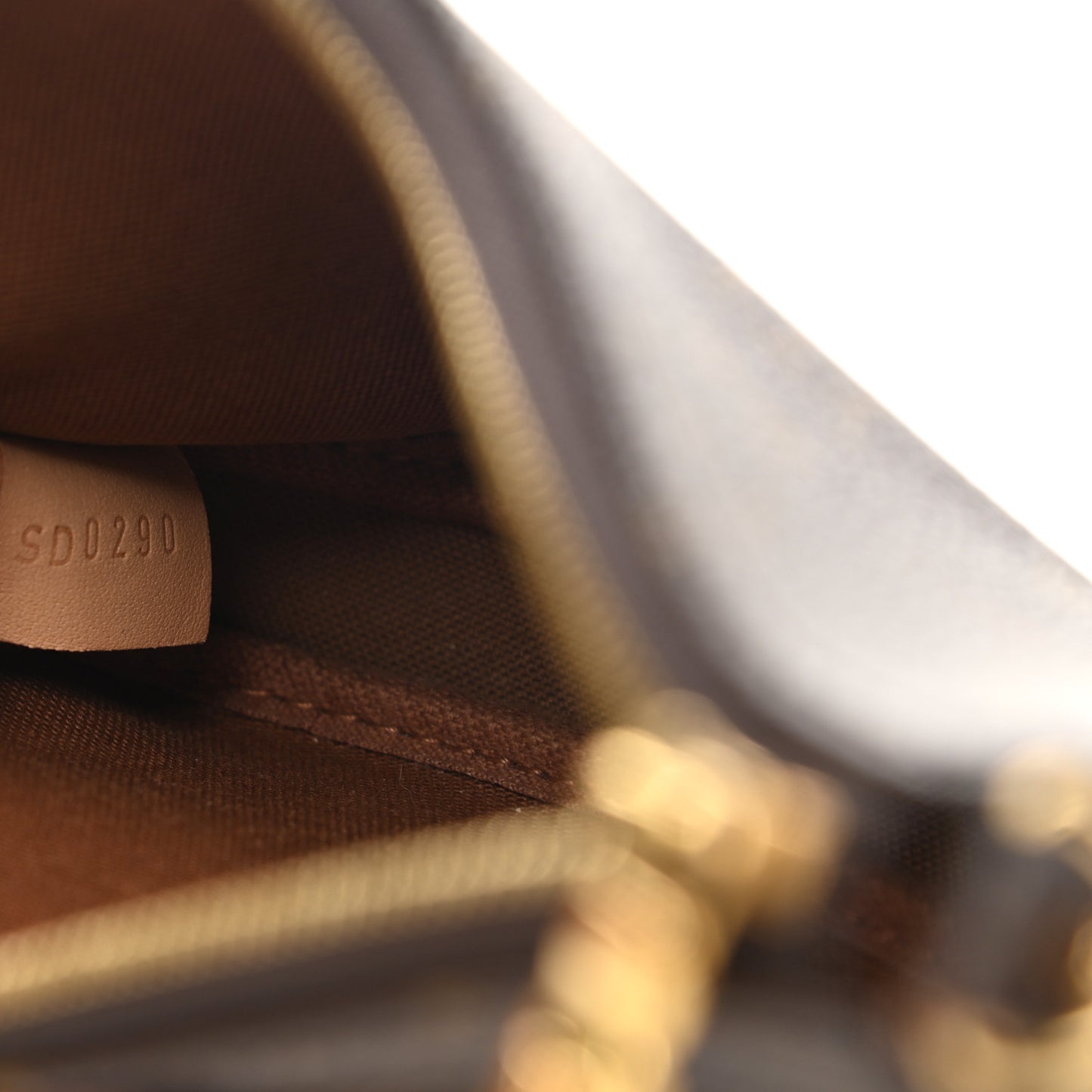 Monogram Multi Pochette Accessories Mini Pochette