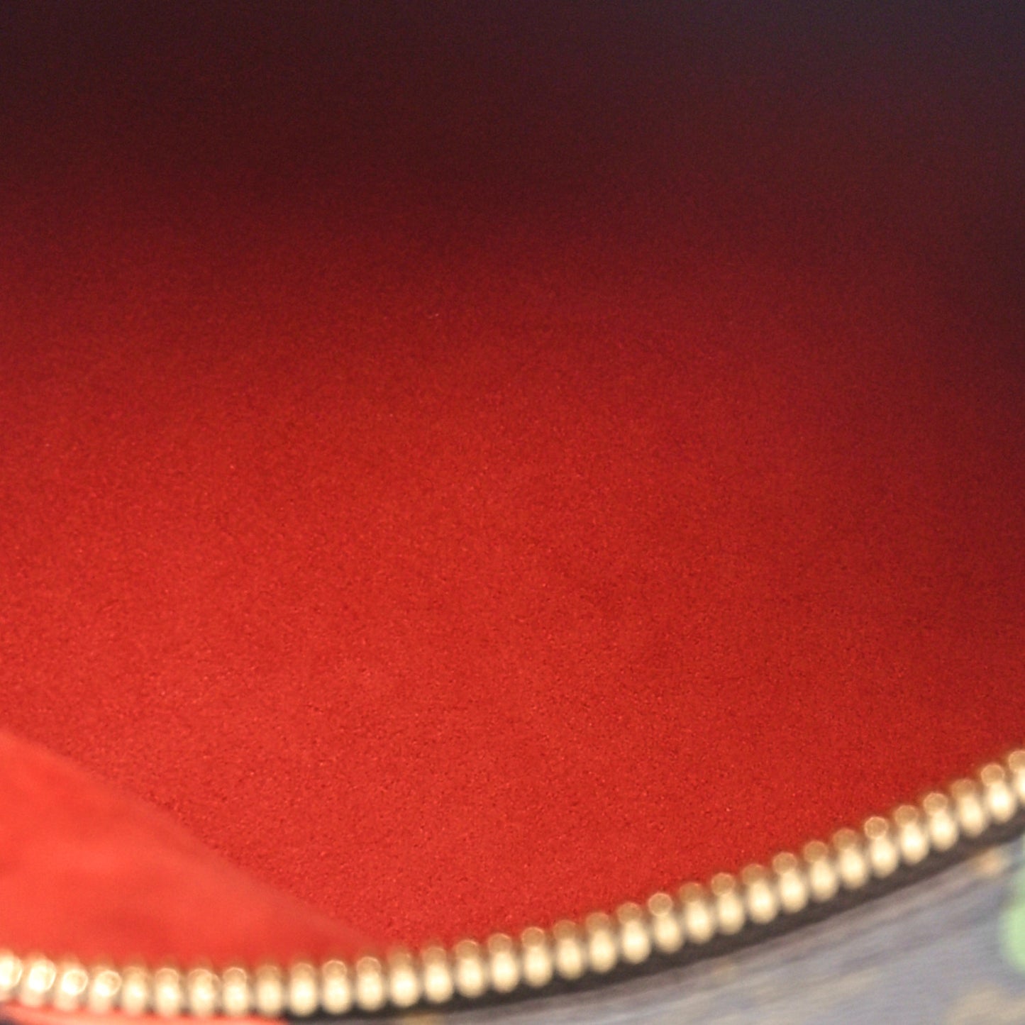 X FORNASETTI Monogram Cameo Speedy Bandouliere 25