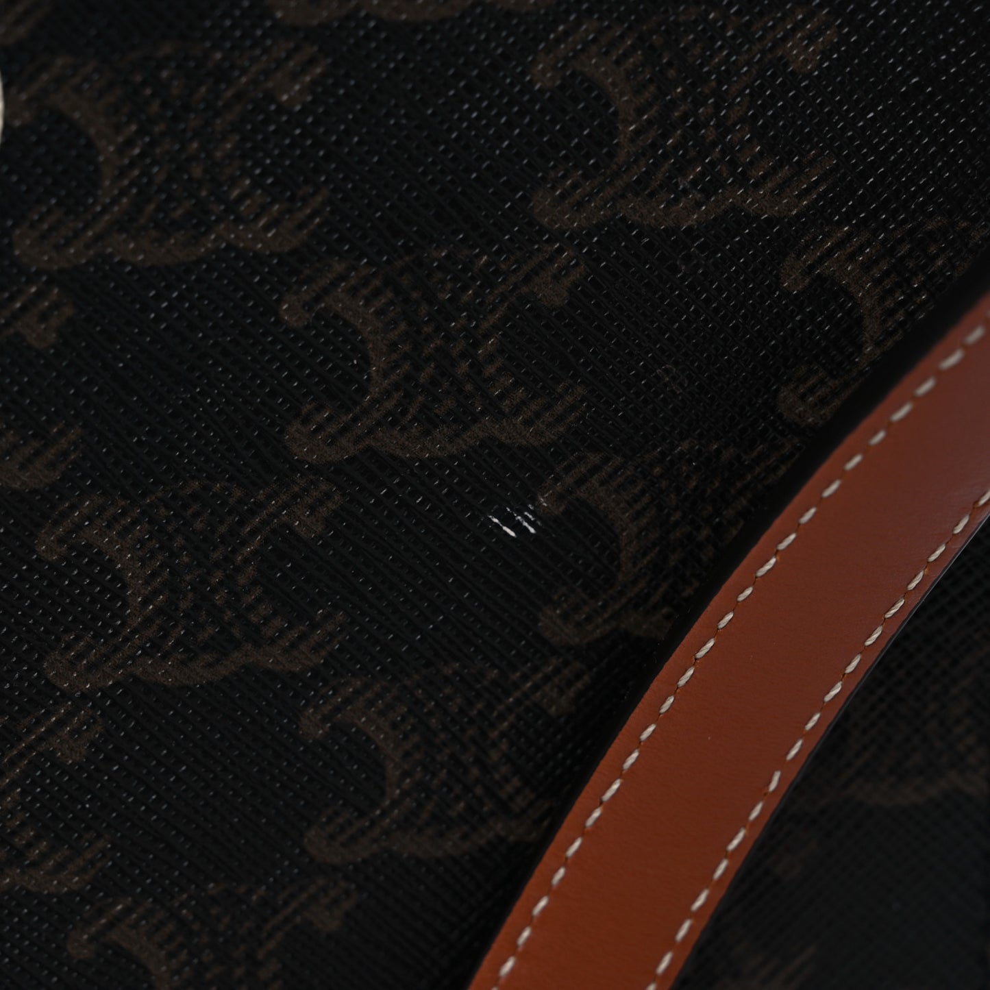 Triomphe Canvas Calfskin Paris Print Small Vertical Cabas Tan