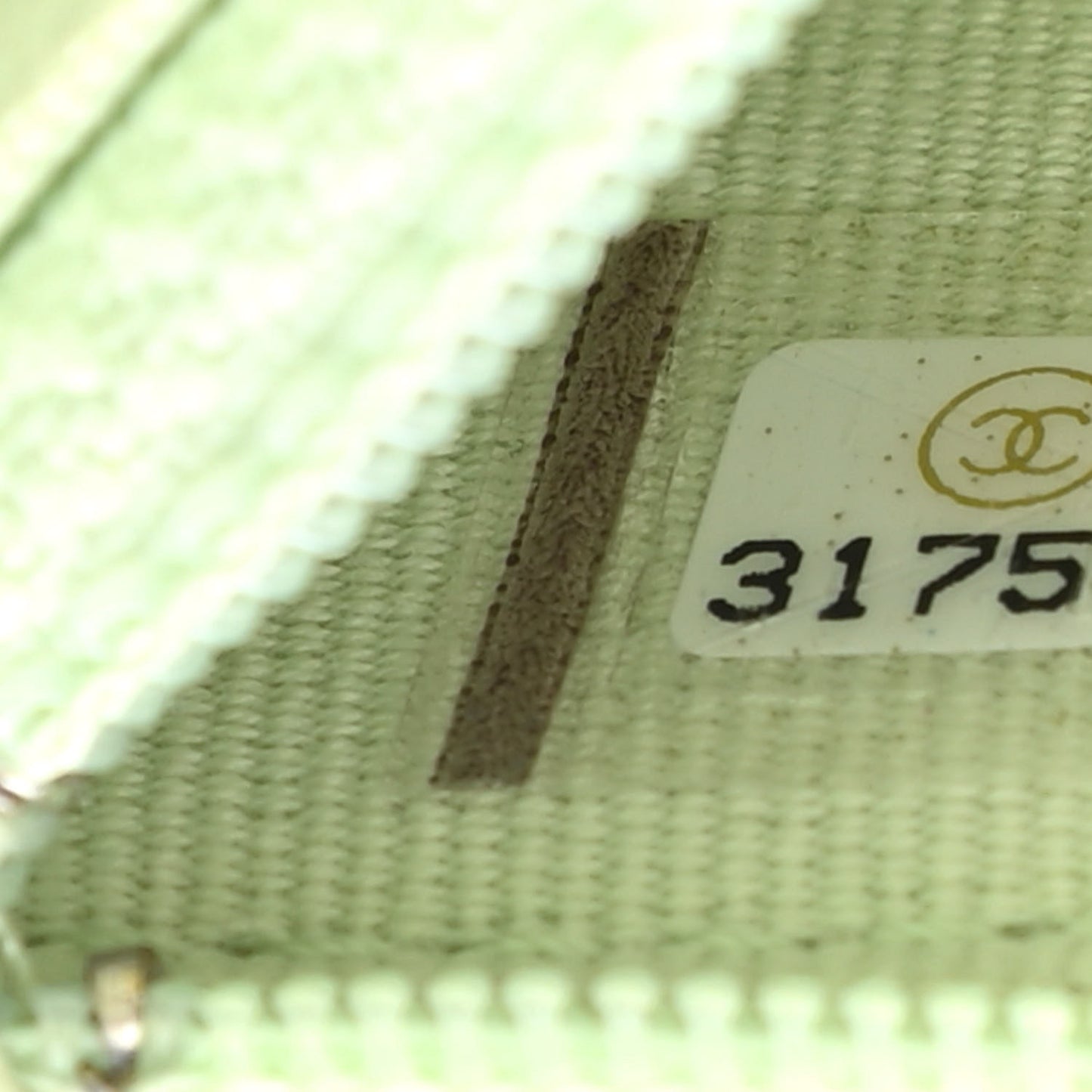 Lambskin Quilted Chanel 19 Clutch With Chain Light Green