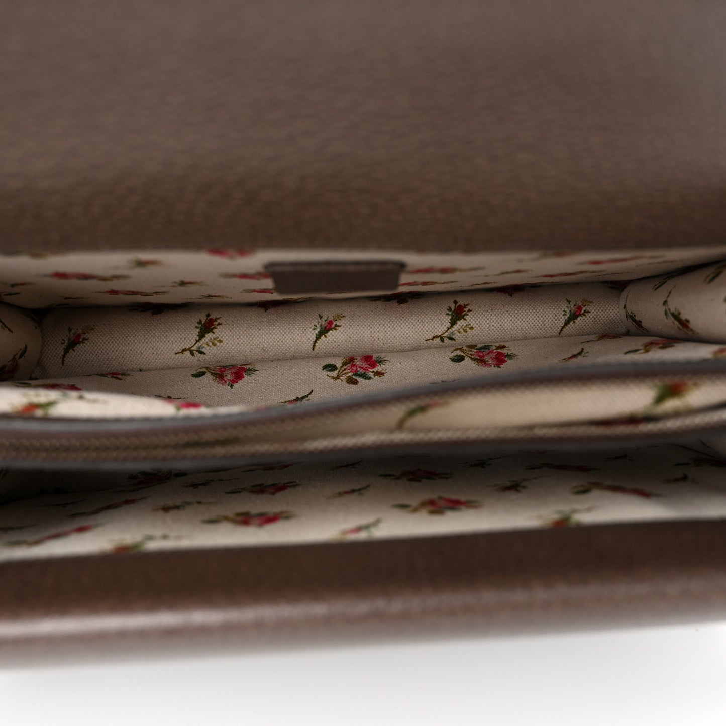 Calfskin Web Floral Embroidered Medium Dionysus Shoulder Bag New Acero