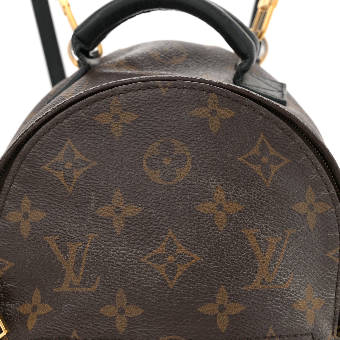 Monogram Palm Springs Backpack Mini