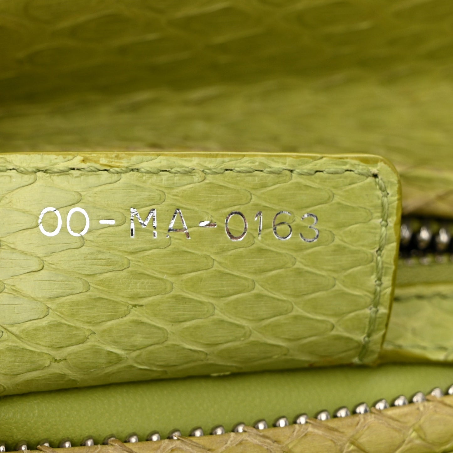 Snakeskin Medium Lady Dior Green