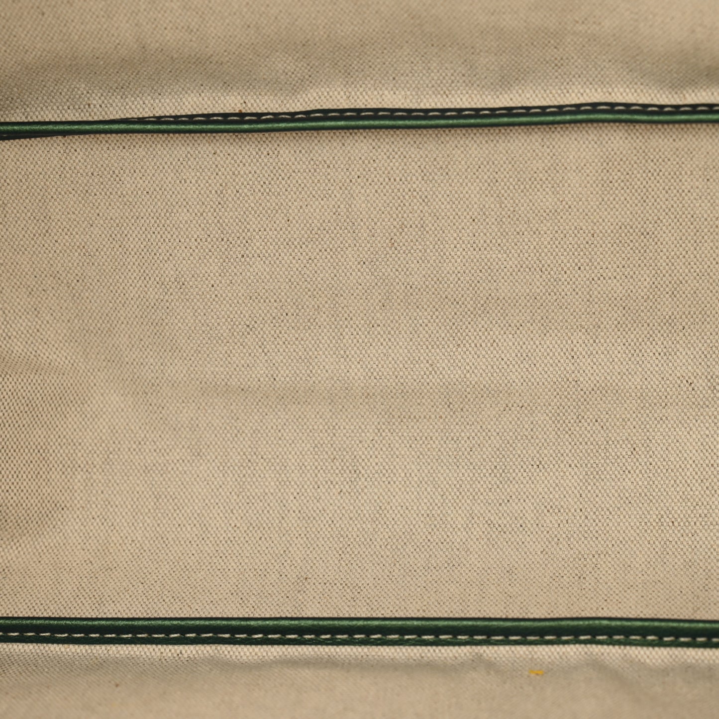 Iridescent Goyardine Saint Louis PM Pearly Green