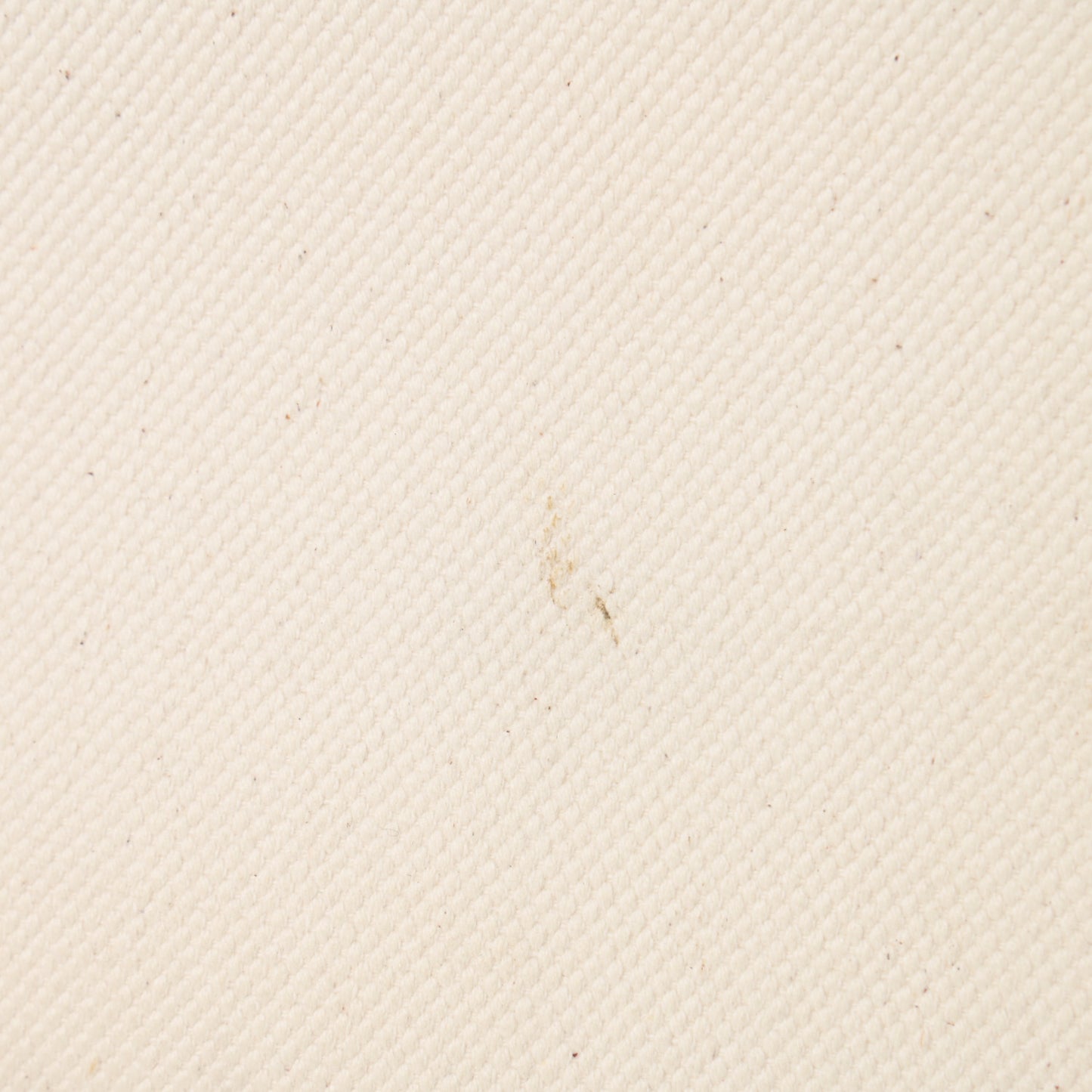 Canvas Calfskin Logo Print Small Vertical Cabas Natural Tan