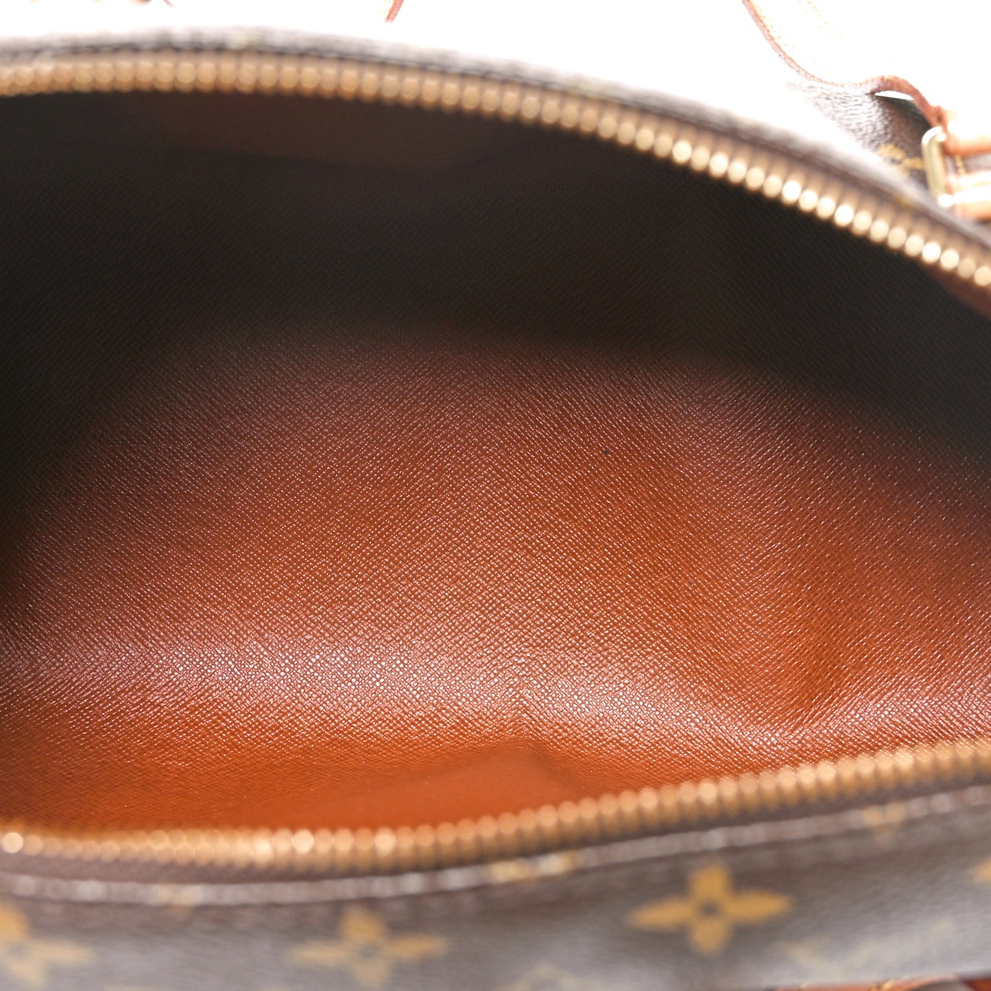 Monogram Papillon 30 with Companion