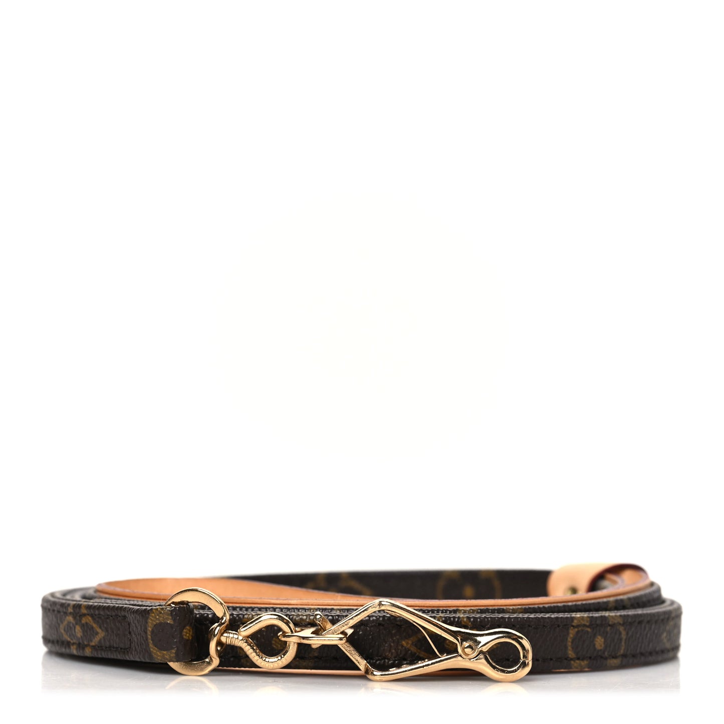 Monogram Baxter Dog Leash MM