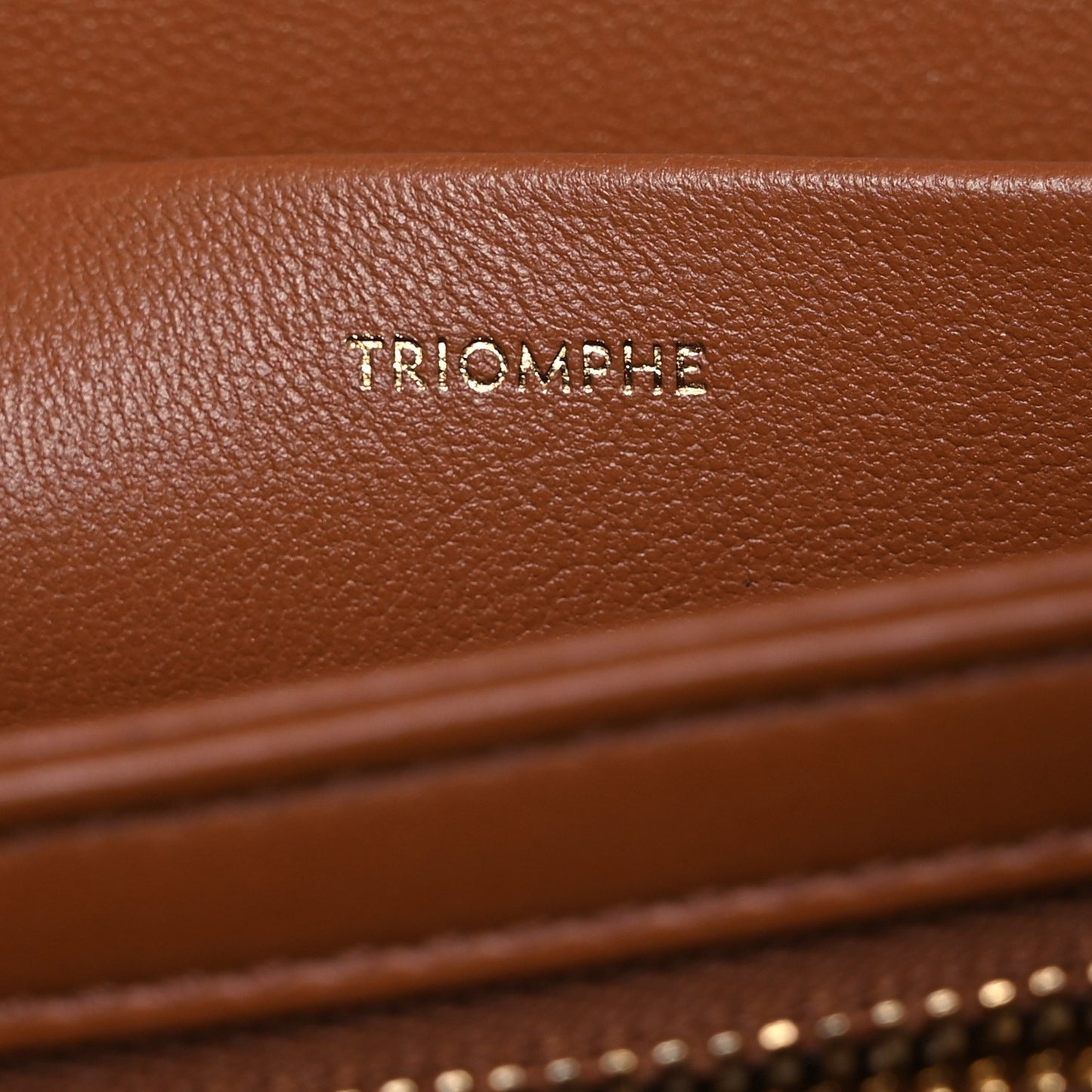 Calfskin Triomphe Canvas Medium Triomphe Tan
