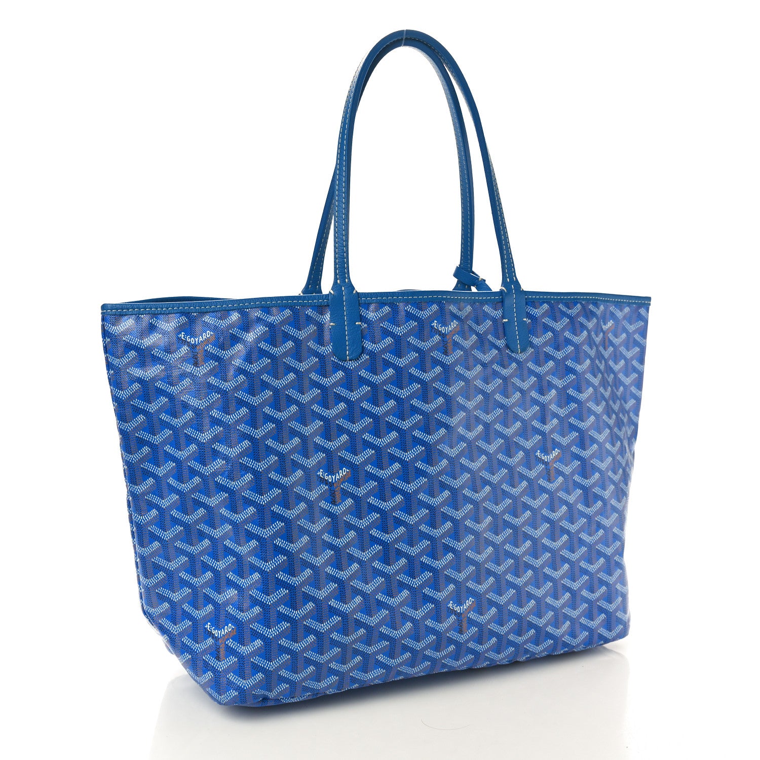 Goyard Goyardine Saint Louis PM Sky Blue 4 of 10