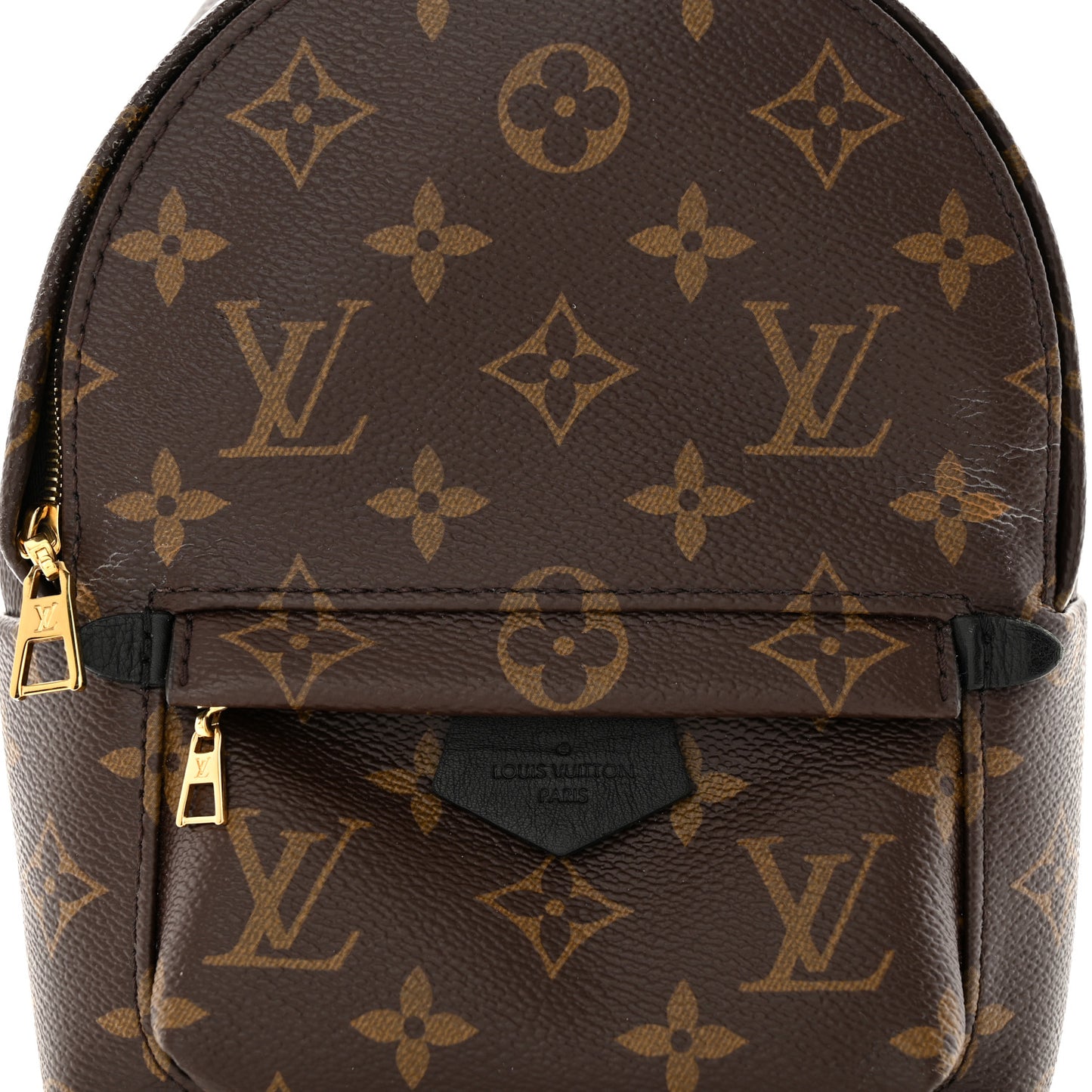 Monogram Palm Springs Backpack Mini