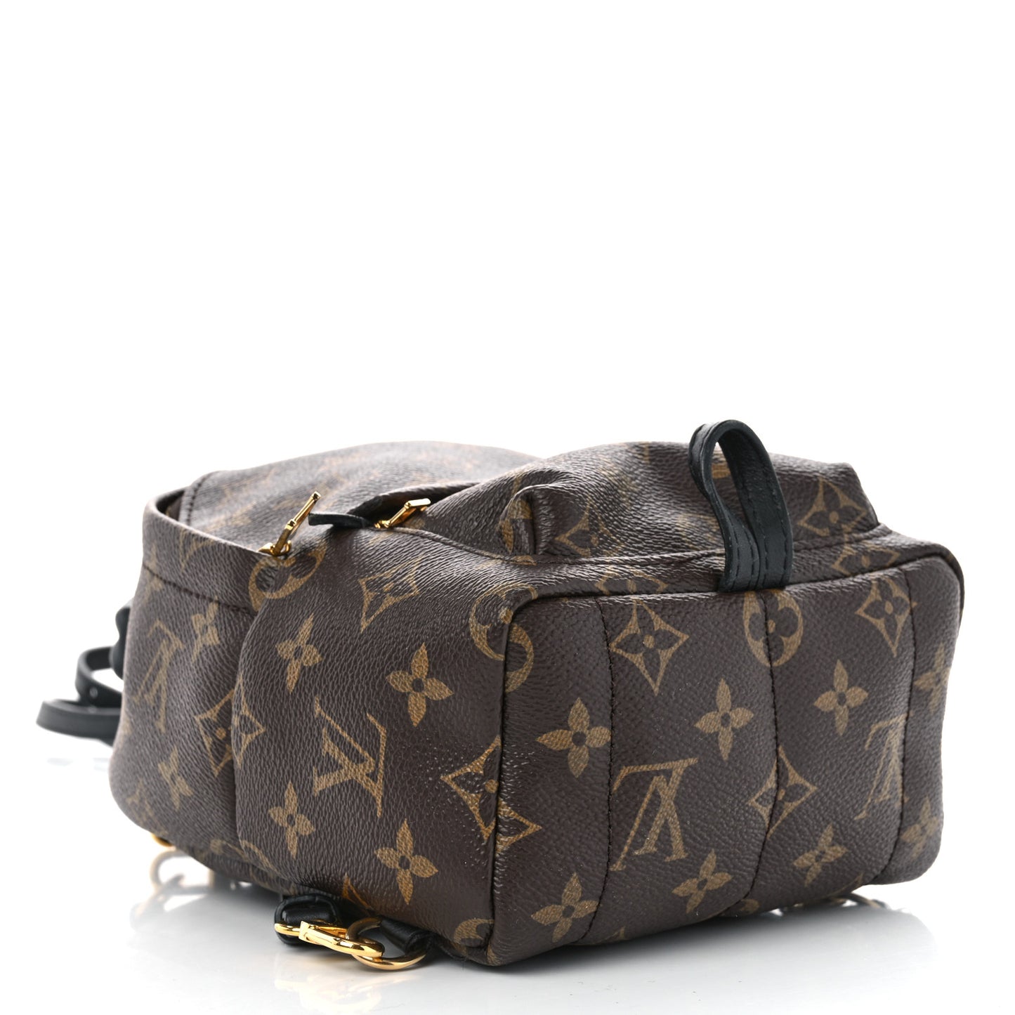 Monogram Palm Springs Backpack Mini