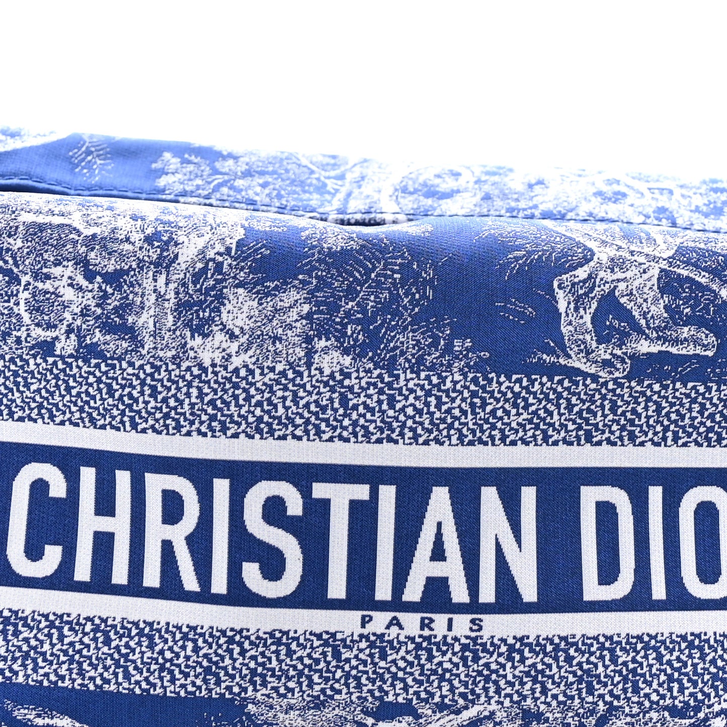 Technical Fabric Toile De Jouy DiorTravel Nomad Pouch Fluorescent Blue