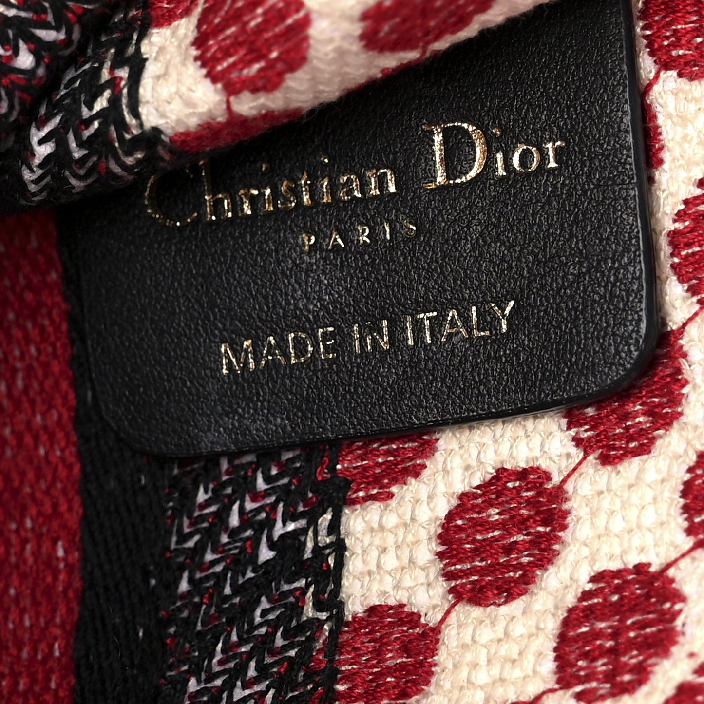Canvas DiorAmour Dots Mini Book Tote Red