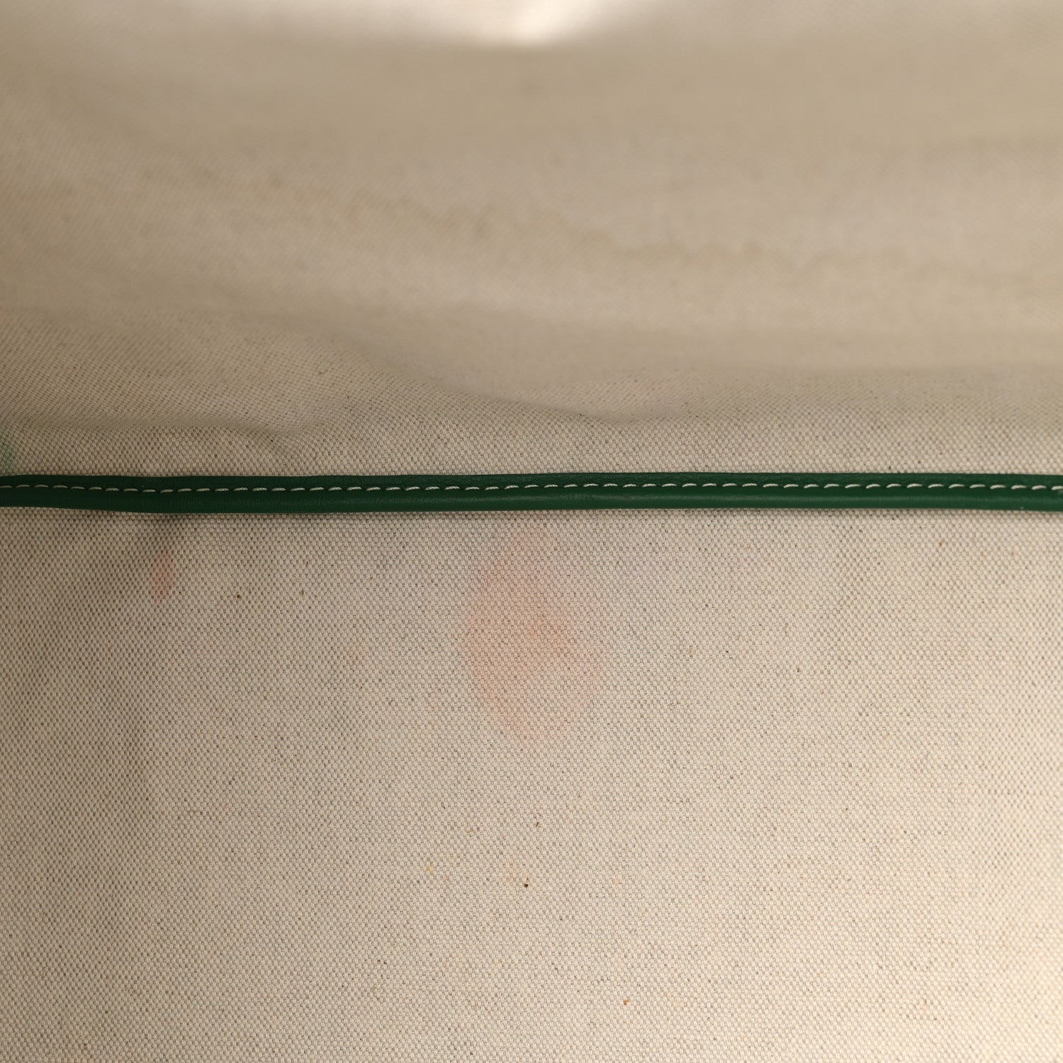 Goyard Goyardine Saint Louis PM Green 12 of 12