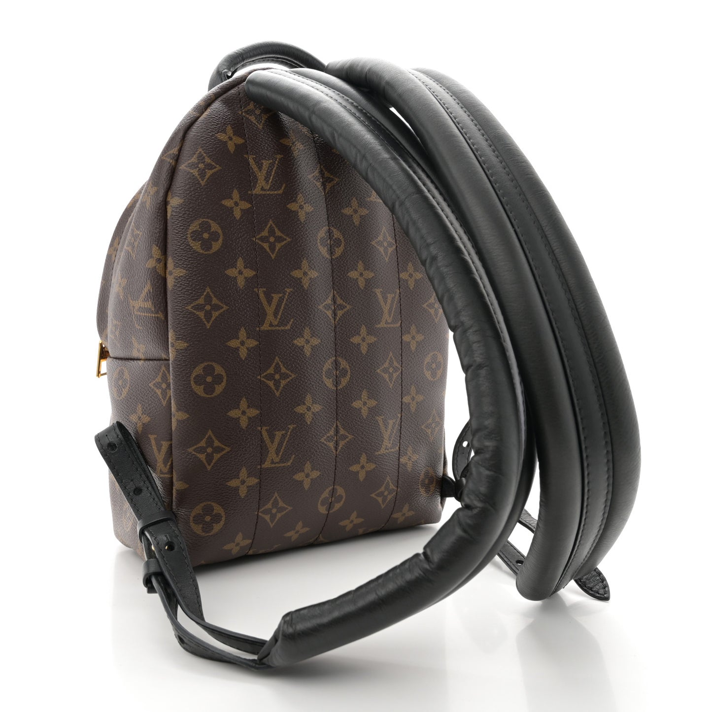 Monogram Palm Springs Backpack PM