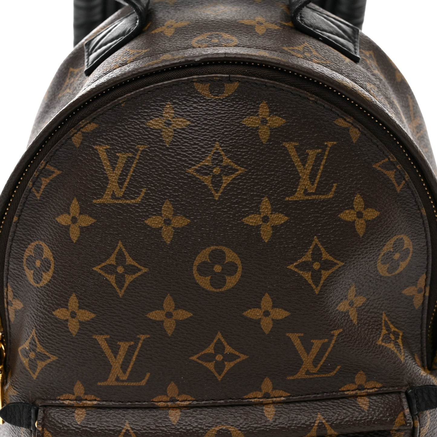 Monogram Palm Springs Backpack PM