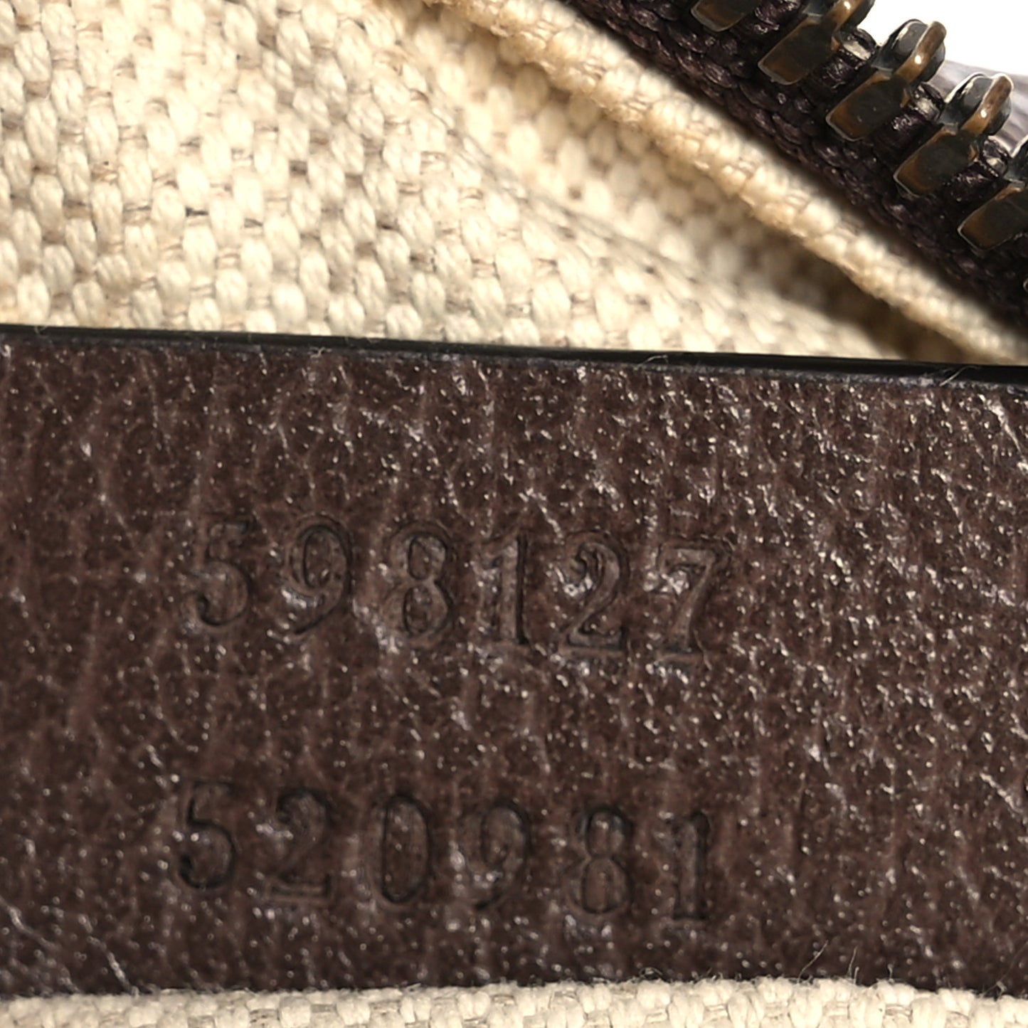GG Supreme Monogram Web Mini Ophidia Messenger Brown