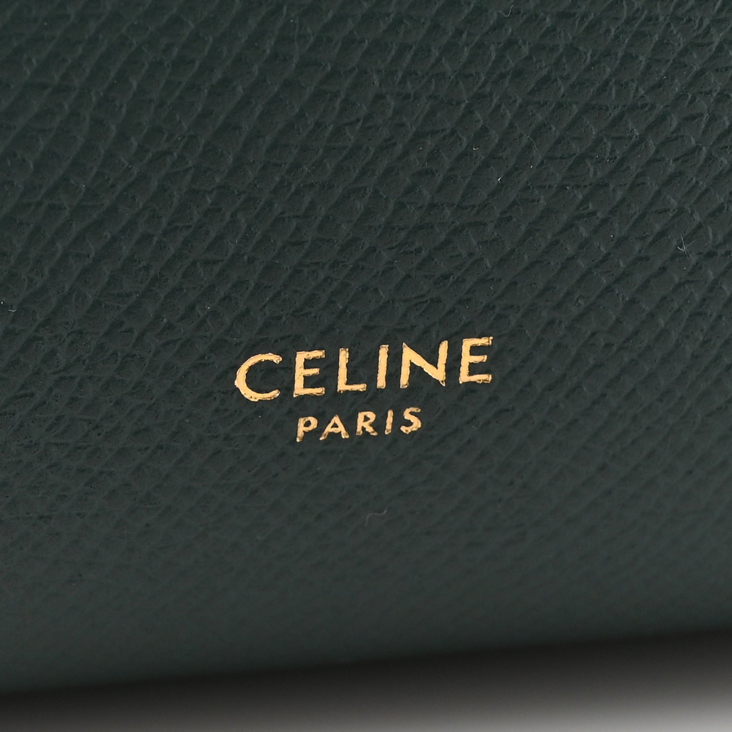 Grained Calfskin Nano Belt Bag Amazone
