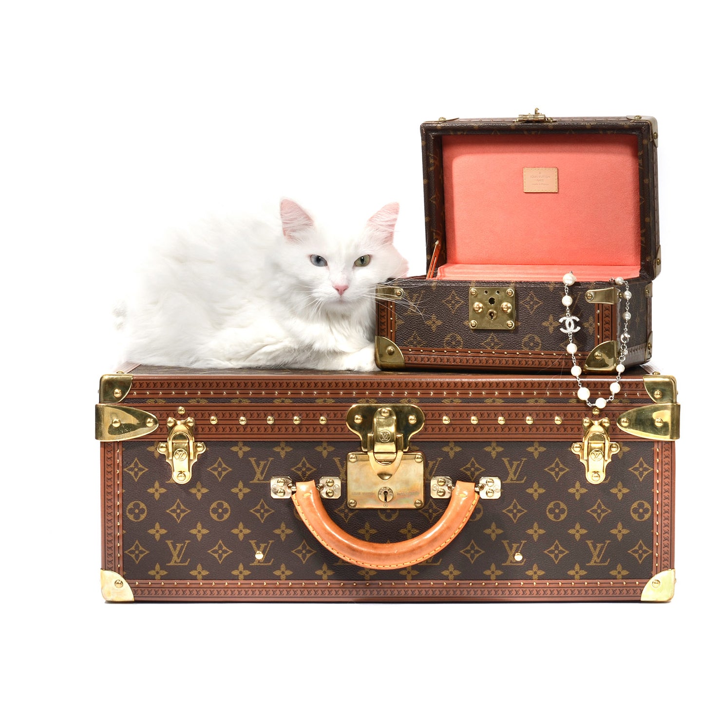 FASHIONPHILE Pet Picks Calendar
