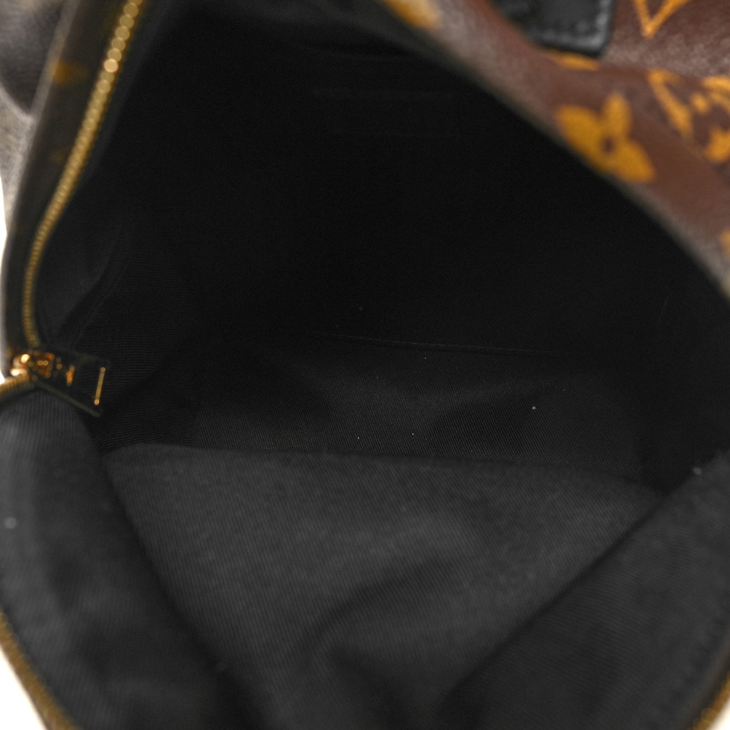 Monogram Palm Springs Backpack PM