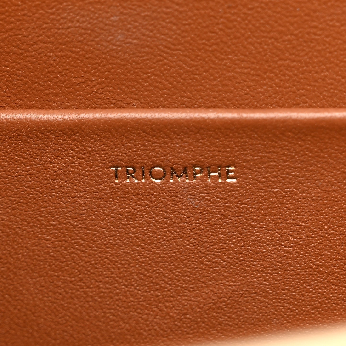 Canvas Calfskin Triomphe Shoulder Bag White