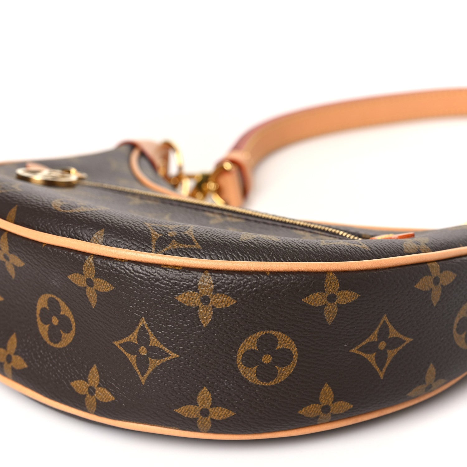 Louis Vuitton Monogram Loop 9 of 9