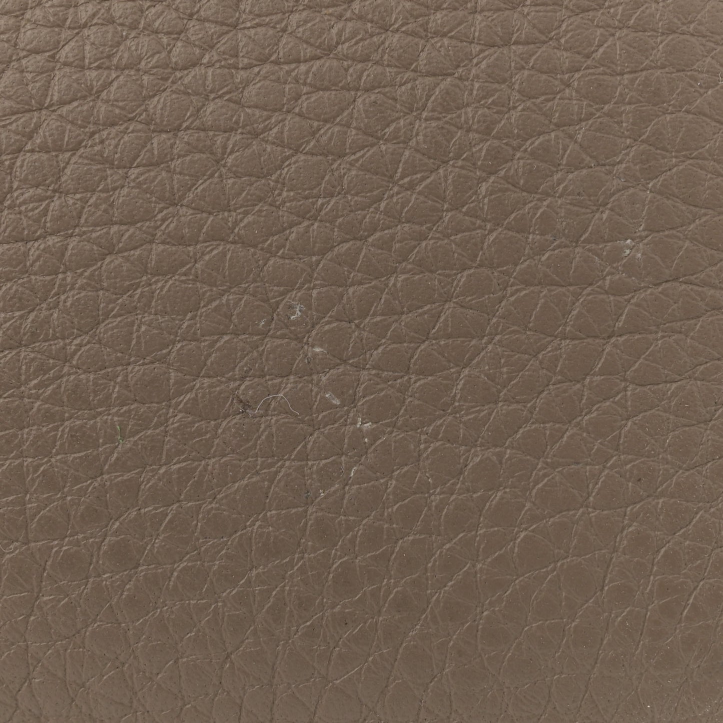 Grained Calfskin L19 Extra Pocket Pouch Warm Mastic