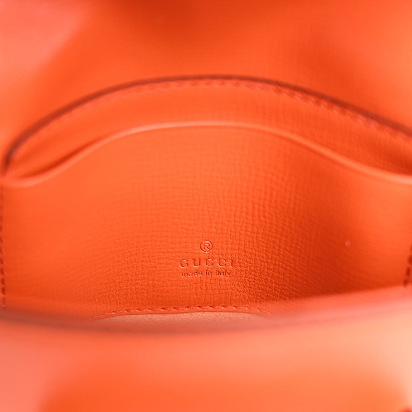 Azalea Calfskin Web Monochrome Horsebit 1955 Wallet On Strap Orange