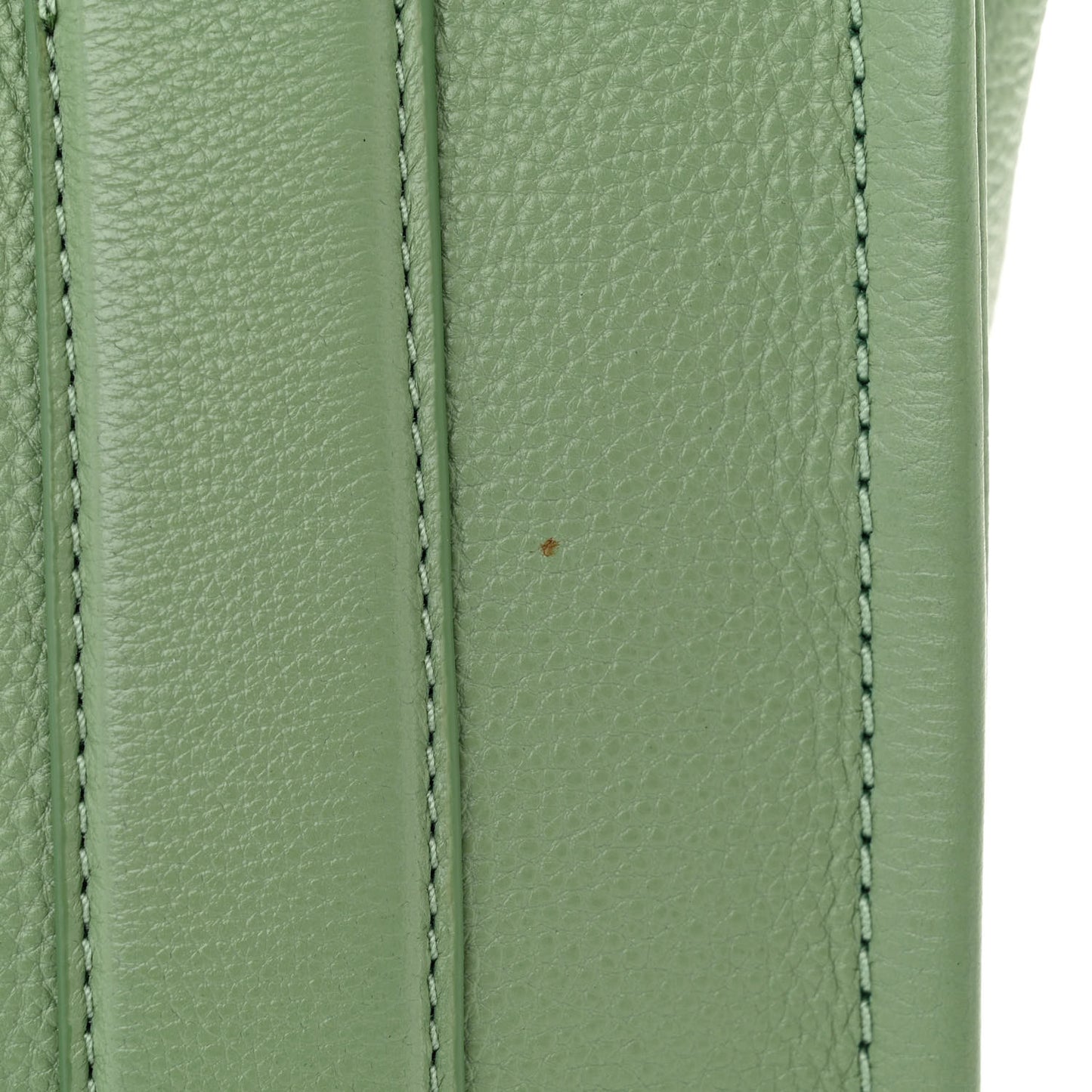 Grained Calfskin Small The Tote Bag Aspen Green