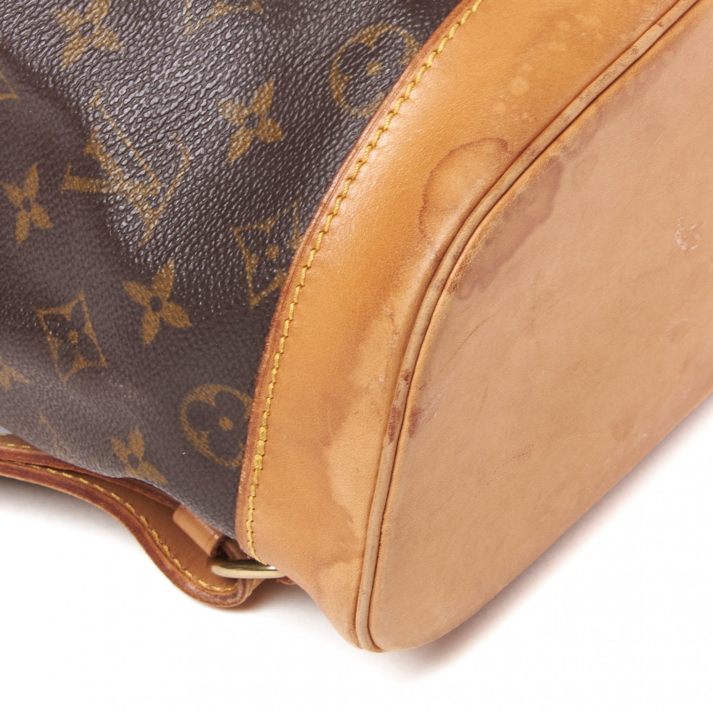 Monogram Montsouris GM Backpack