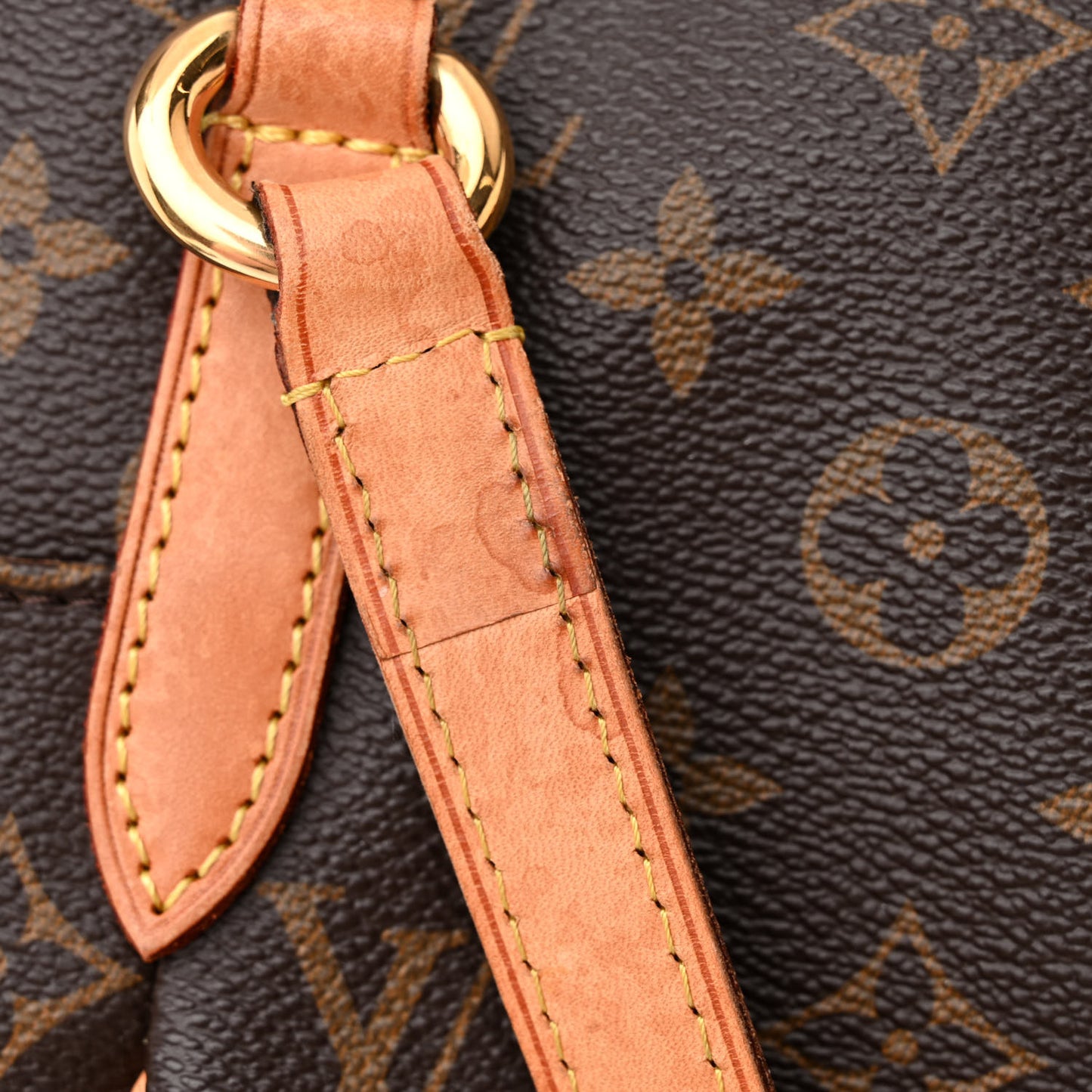 Monogram Totally MM