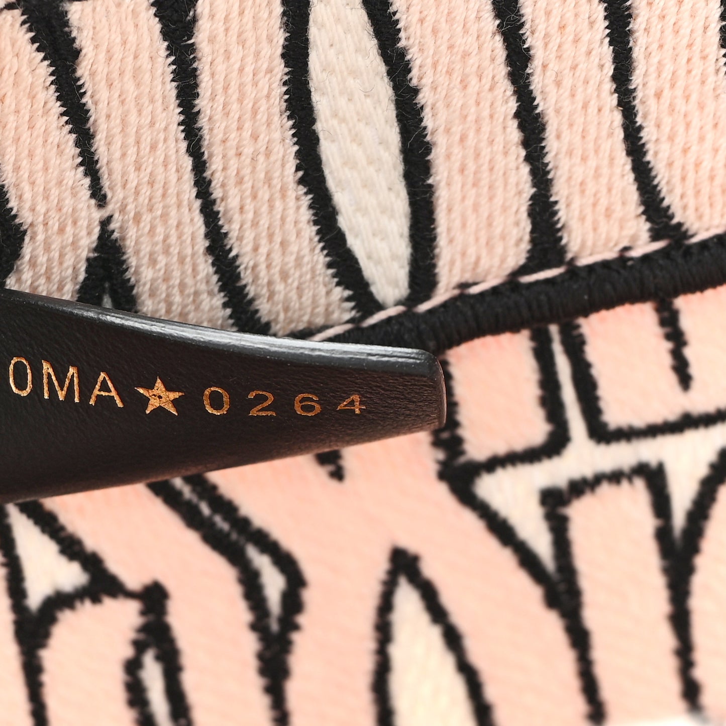 Canvas Embroidered Medium Miss Dior Graffiti Book Tote Pink