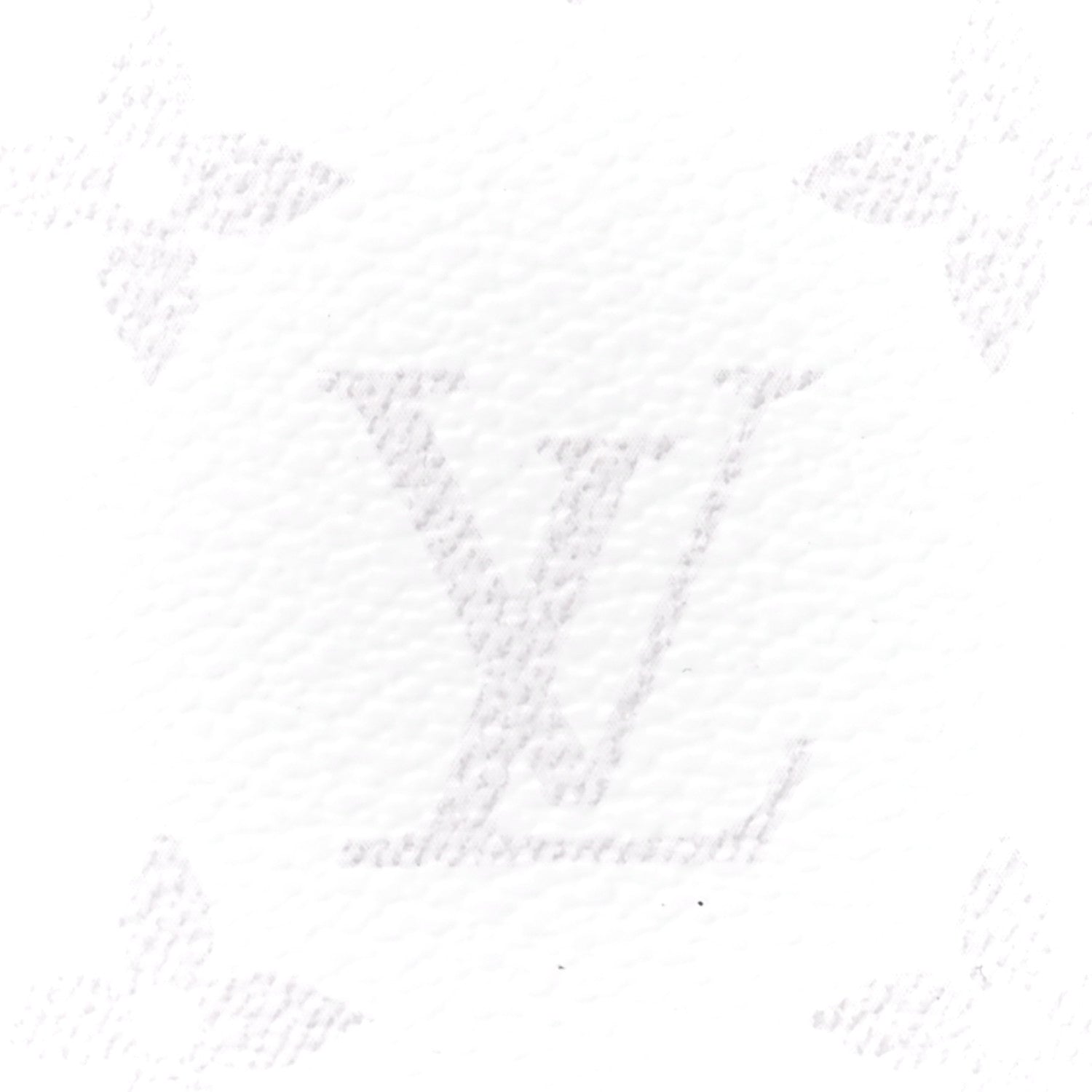 Louis Vuitton Taigarama Pocket Organizer NM Antartica 9 of 13
