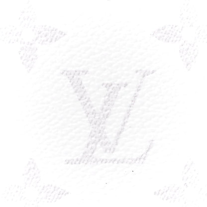 Louis Vuitton Taigarama Pocket Organizer NM Antartica 9 of 13
