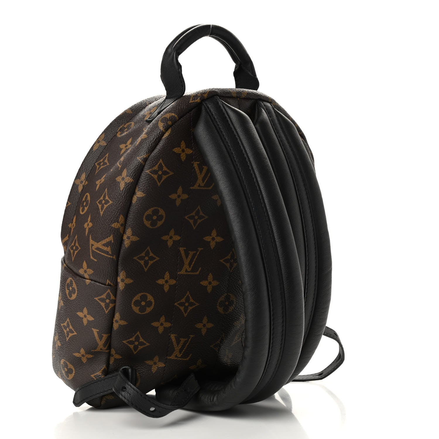 Louis Vuitton Monogram Palm Springs Backpack PM 3 of 11
