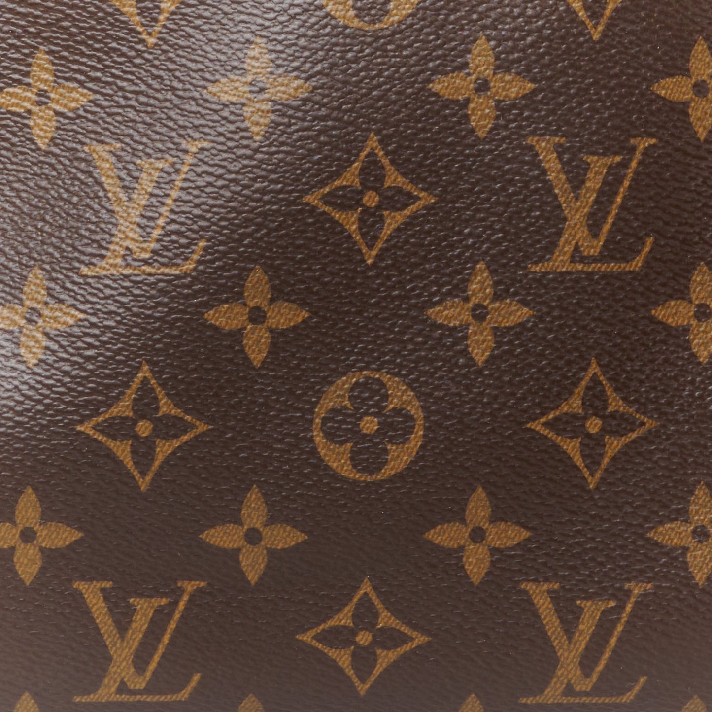 Monogram Pallas Black