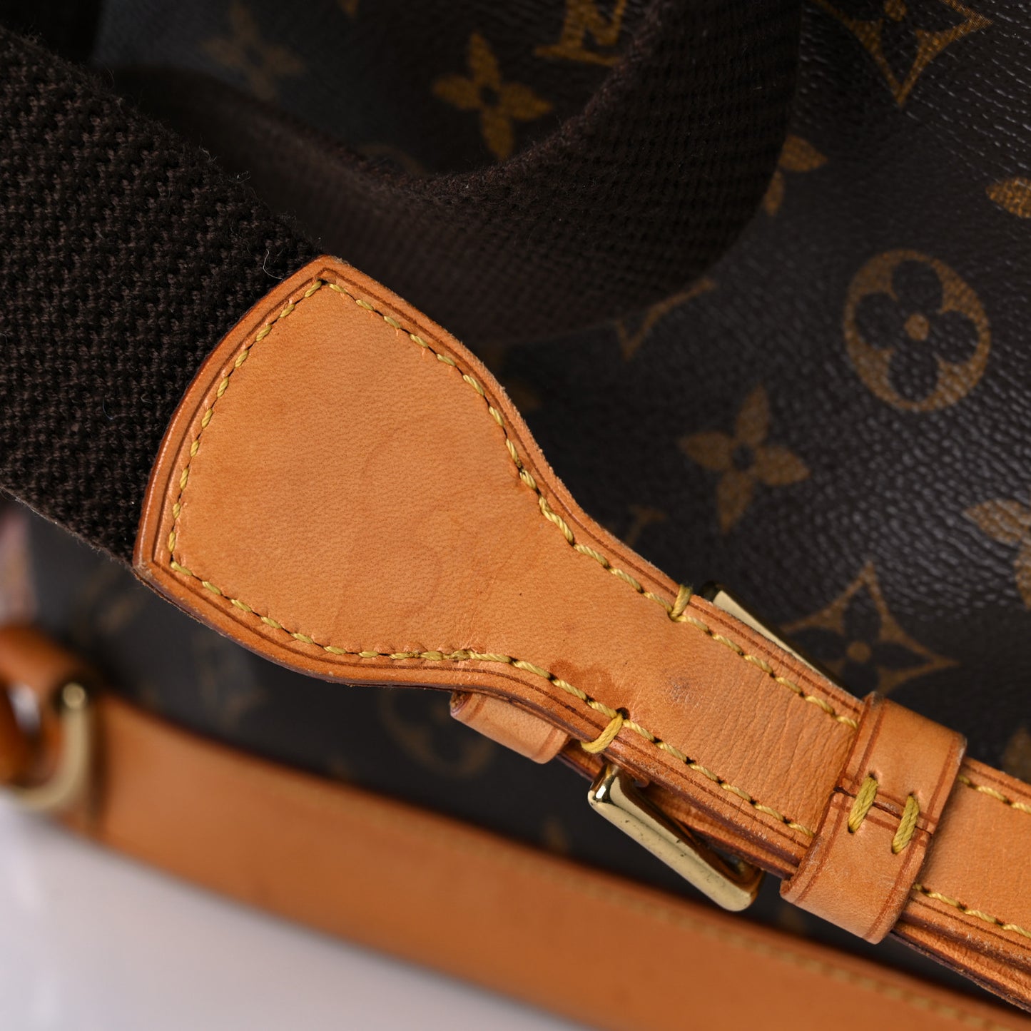 Monogram Montsouris GM Backpack