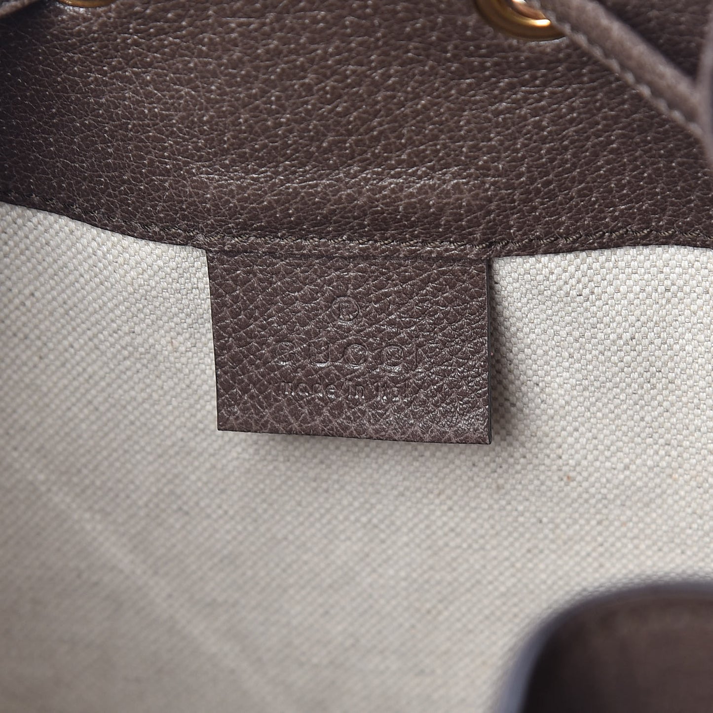 GG Supreme Monogram Web Ophidia Bucket Bag Brown