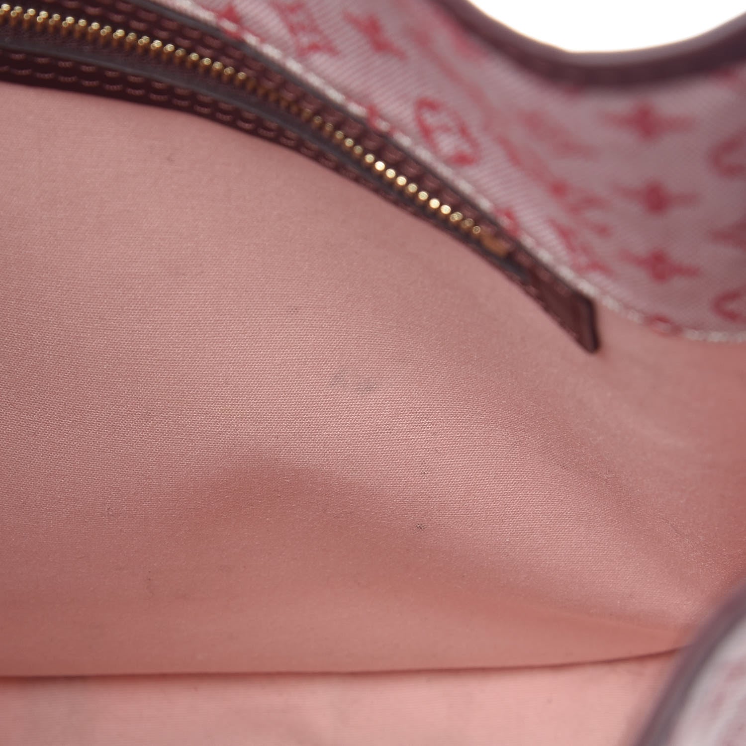 Louis Vuitton Mini Monogram Besace Mary Kate Cherry 8 of 14